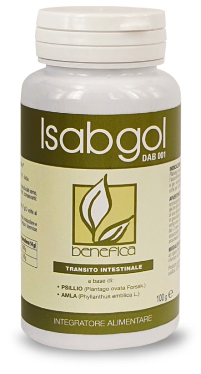 ISABGOL DAB 001 100 G - Doctor Vinz