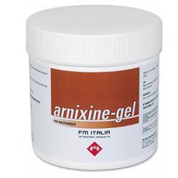 ARNIXINE GEL 750ML - Doctor Vinz