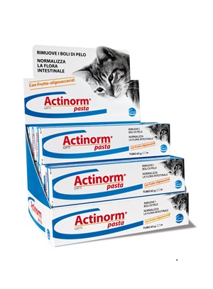 ACTINORM PASTA GATTI 65G - Doctor Vinz
