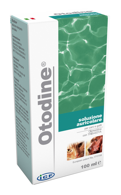 OTODINE DET LIQ 50ML - Doctor Vinz