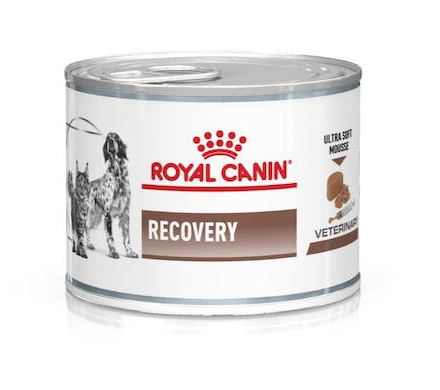 VETERINARY DIET WET DOG & CAT RECOVERY 195 G - Doctor Vinz