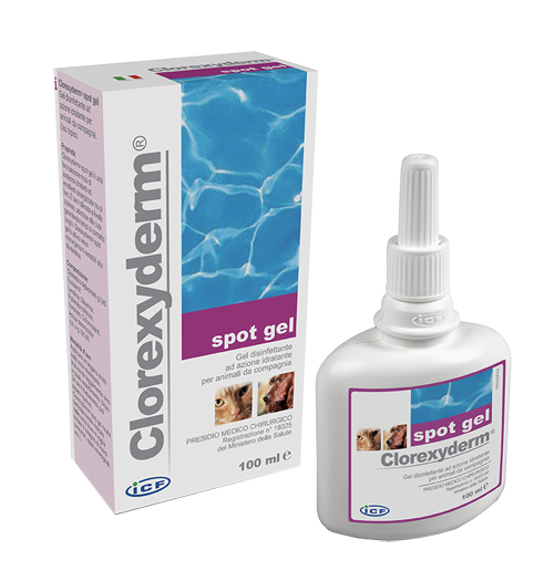 CLOREXYDERM SPOT GEL 100ML - Doctor Vinz