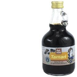 TAMARI 250 ML - Doctor Vinz