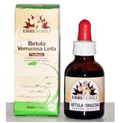 FITOBLASTO BETULLA VERRUCOSA LINFA 50 ML - Doctor Vinz