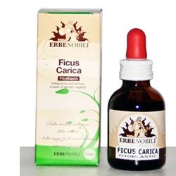 FITOBLASTO FICUS CARICA 50 ML - Doctor Vinz