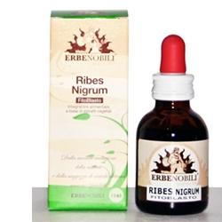 FITOBLASTO RIBES NIGRUM 50 ML - Doctor Vinz