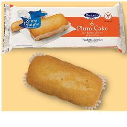 BONONIA PLUMCAKE CON FARINA DI RISO SENZA GLUTINE 6 X 36 G - Doctor Vinz
