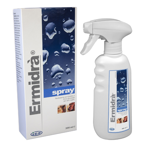 ERMIDRA' SPRAY 300 ML - Doctor Vinz