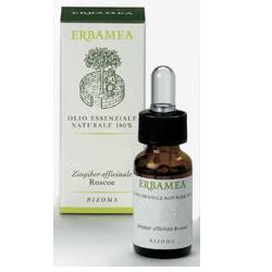 MENTA PIPERITA OLIO ESSENZIALE 10 ML - Doctor Vinz