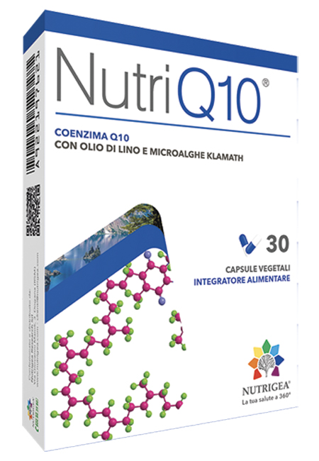 NUTRIQ10 30 CAPSULE - Doctor Vinz