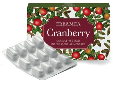 CRANBERRY 24 CAPSULE - Doctor Vinz