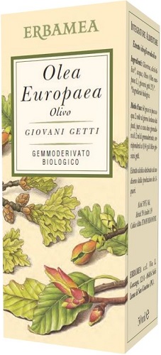 OLEA EUROPEA OLIVO BIO 50 ML - Doctor Vinz