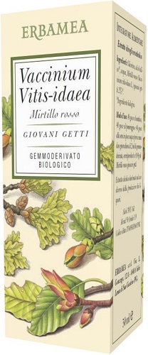 VACCINIUM VITIS IDAEA MIRTILLO ROSSO BIO 50 ML - Doctor Vinz