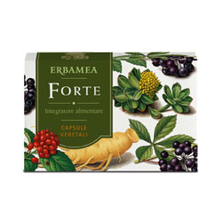 FORTE 24 CAPSULE - Doctor Vinz