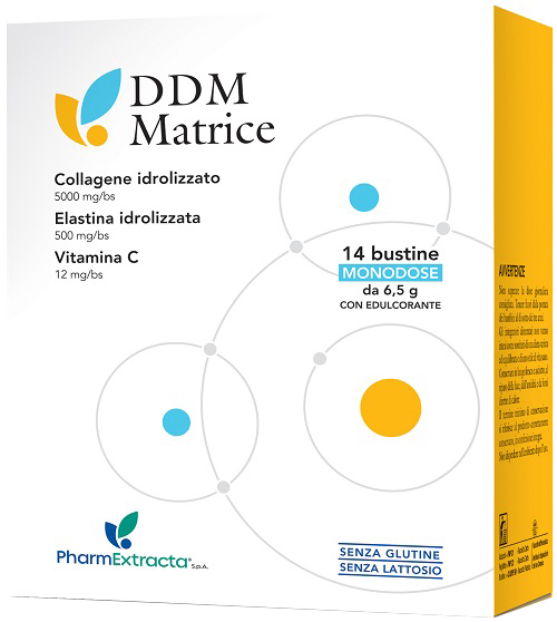 DDM MATRICE 14 BUSTINE - Doctor Vinz