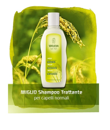 SHAMPOO MIGLIO 190 ML - Doctor Vinz