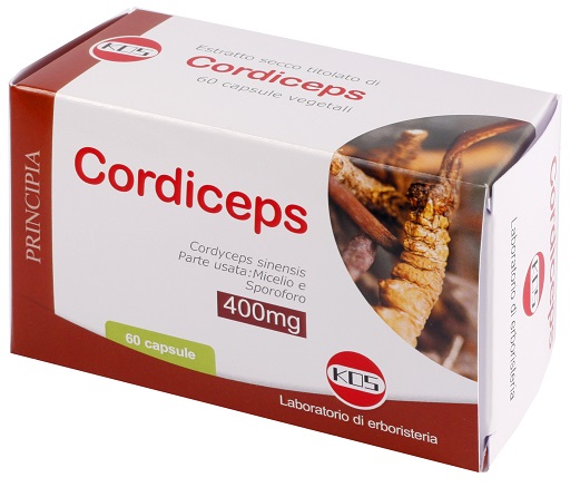 CORDICEPS ESTRATTO SECCO 60 CAPSULE - Doctor Vinz