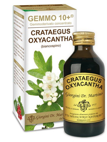 GEMMO 10+ BIANCOSPINO LIQUIDO ANALCOLICO 100 ML - Doctor Vinz