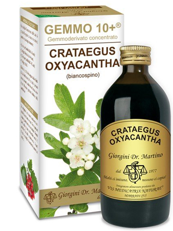 GEMMO 10+ BIANCOSPINO LIQUIDO ANALCOLICO 200 ML - Doctor Vinz