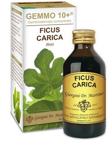 GEMMO 10+ FICO LIQUIDO ANALCOLICO 100 ML - Doctor Vinz