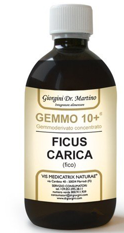 GEMMO 10+ FICO LIQUIDO ANALCOLICO 500 ML - Doctor Vinz