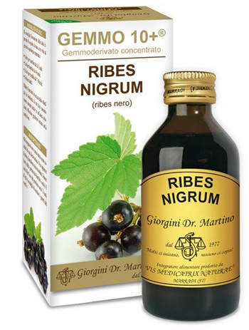 GEMMO 10+ RIBES NERO 100 ML LIQUIDO ANALCOLICO - Doctor Vinz