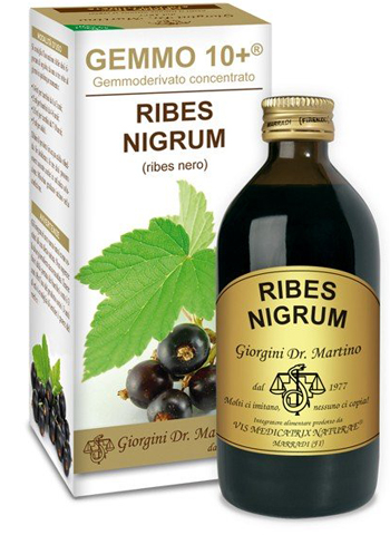 GEMMO 10+ RIBES NERO 200 ML LIQUIDO ANALCOLICO - Doctor Vinz