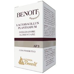 BENOIT LACTOBACILLUS PLANTHARUM 30 CAPSULE - Doctor Vinz