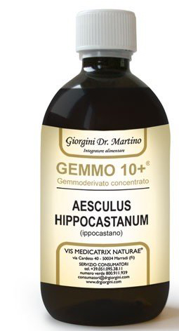GEMOO 10+ GEMMODERIVATO CONCENTRATO IPPOCASTANO LIQUIDO ANALCOLICO AESCULUS HIPPOCASTANUM IPPOCASTANO 500 ML - Doctor Vinz