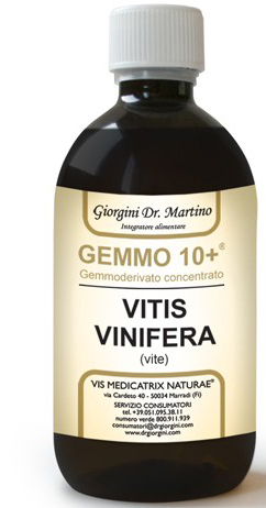 GEMMO 10+ VITE LIQUIDO ANALCOLICO 100 ML - Doctor Vinz