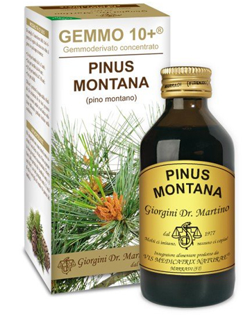 GEMMO 10+ PINO MONTANO 100 ML LIQUIDO ANALCOLICO - Doctor Vinz