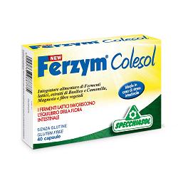 NEW FERZYM COLESOL 40 CAPSULE - Doctor Vinz