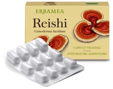REISHI 24 CAPSULE - Doctor Vinz