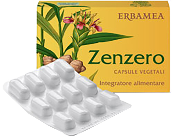 ZENZERO 24 CAPSULE - Doctor Vinz