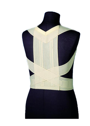 RADDRIZZASPALLE ELASTICO MILLERIGHE LARGE - Doctor Vinz