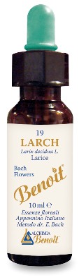 FIORI DI BACH BENOIT LARCH 10 ML - Doctor Vinz