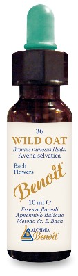 FIORI DI BACH BENOIT WILD OAT 10 ML - Doctor Vinz
