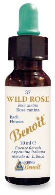 FIORI DI BACH BENOIT WILD ROSE 10 ML - Doctor Vinz