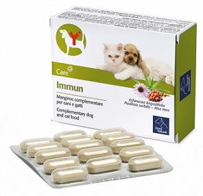 IMMUN 60 COMPRESSE - Doctor Vinz