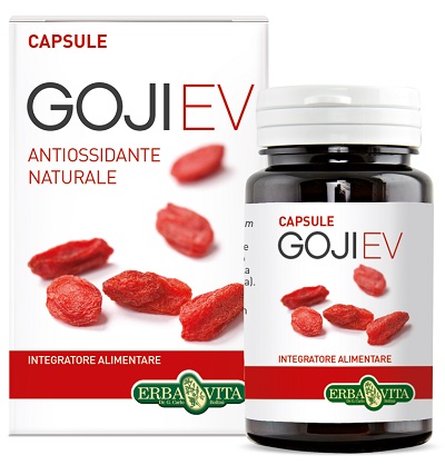 GOJI EV 60 CAPSULE - Doctor Vinz