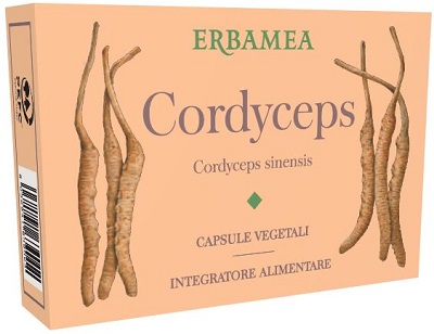 CORDYCEPS 24 CAPSULE VEGETALI - Doctor Vinz
