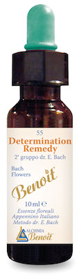DETERMINATION REMEDY 10 ML - Doctor Vinz