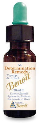 DETERMINATION REMEDY 28 ML - Doctor Vinz