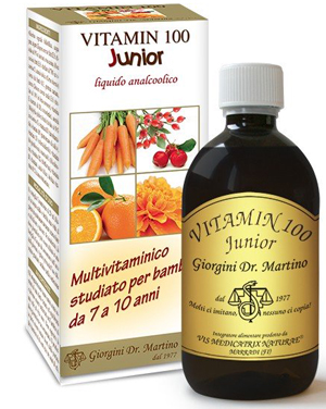 VITAMIN 100 JUNIOR LIQUIDO ANALCOLICO 500 ML - Doctor Vinz
