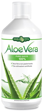 ALOE VERA PURO SUCCO 100% 1000 ML - Doctor Vinz