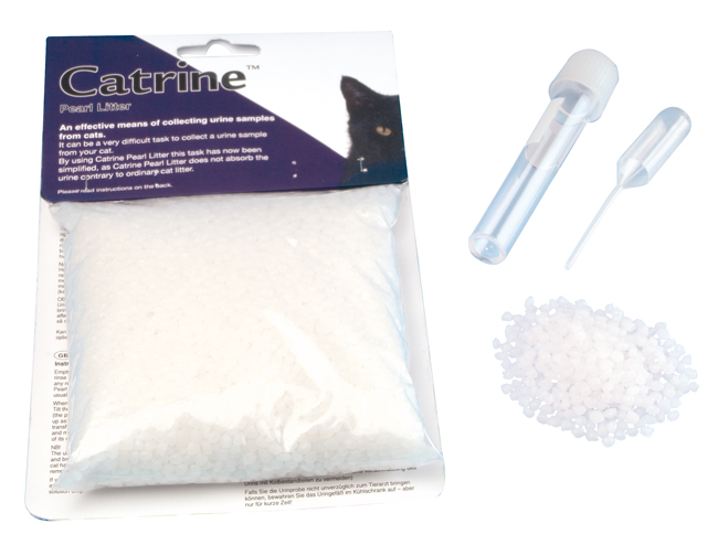 CATRINE ESAMI URINE GATTO - Doctor Vinz