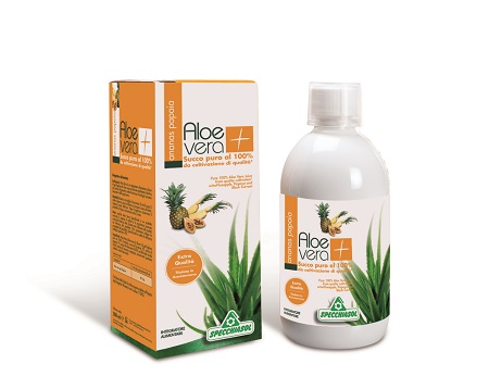 SUCCO ALOEVERA+ ANANAS/PAPAIA 1000 ML - Doctor Vinz