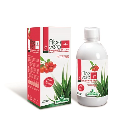 SUCCO ALOEVERA+ GOJI 1000 ML - Doctor Vinz