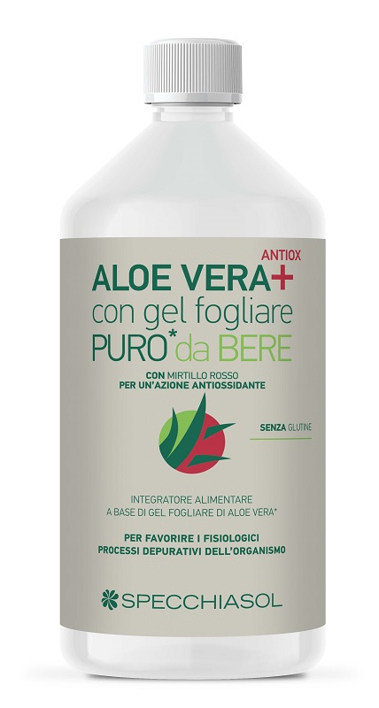 SUCCO ALOEVERA+ ALOE/MIRTILLO ROSSO 1 LITRO - Doctor Vinz