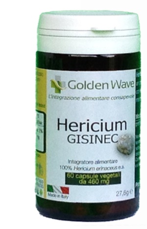 HERICIUM GISINEC 60 CAPSULE - Doctor Vinz